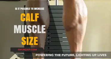 Can You Really Grow Your Calf Muscles? The Truth Revealed