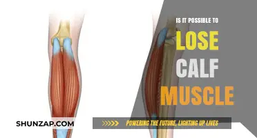 Can You Lose Calf Muscle? Facts and Myths Explained
