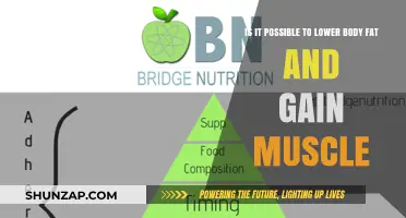 Can You Lose Body Fat and Build Muscle Simultaneously? The Truth