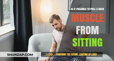 Can Prolonged Sitting Cause Back Muscle Strain? Unraveling the Truth
