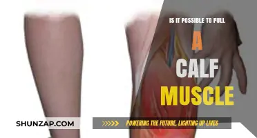 Can You Strain a Calf Muscle? Causes and Prevention Tips