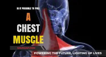 Can You Strain a Chest Muscle? Understanding Causes and Prevention