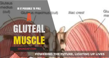 Can You Strain Your Glutes? Understanding Gluteal Muscle Injuries