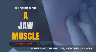 Can You Strain Your Jaw Muscle? Causes and Remedies Explained