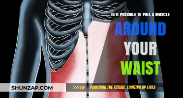 Can You Strain Waist Muscles? Understanding Abdominal Pulls and Pains