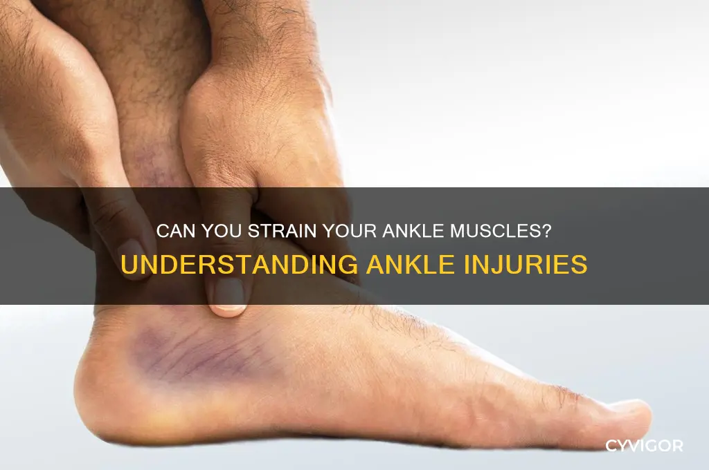 is it possible to pull a muscle in your ankle