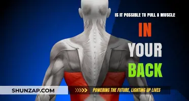 Can You Strain Back Muscles? Understanding Causes and Prevention Tips