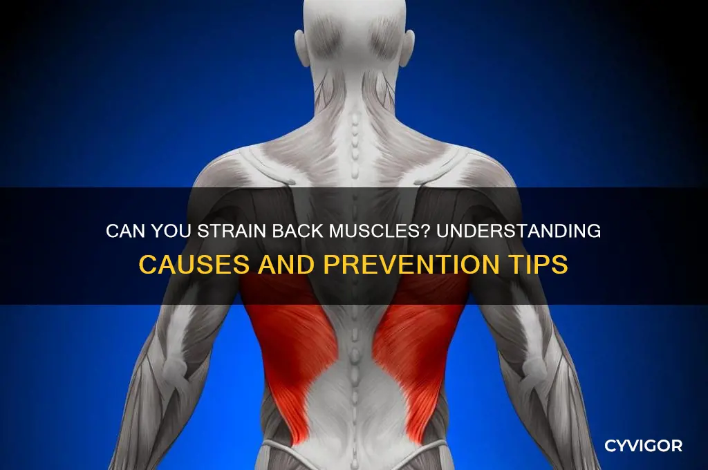 is it possible to pull a muscle in your back