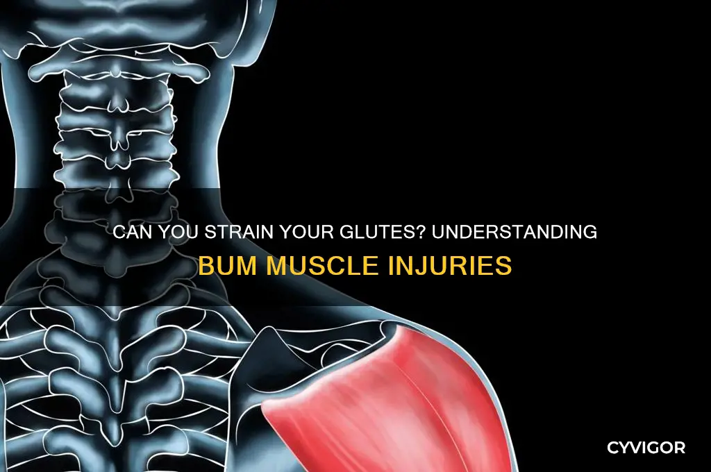is it possible to pull a muscle in your bum