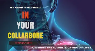 Can You Strain Your Collarbone Muscles? Facts and Prevention Tips