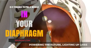 Can You Strain Your Diaphragm? Understanding Muscle Pulls in Breathing