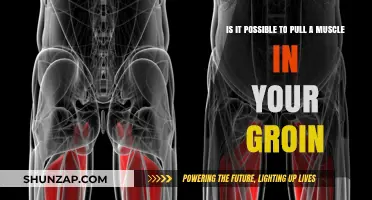 Can You Strain Your Groin Muscle? Understanding Groin Injuries and Prevention