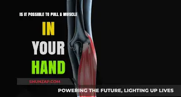 Can You Strain Hand Muscles? Understanding Hand Injuries and Prevention