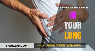Can You Strain a Lung Muscle? Exploring Respiratory Injuries