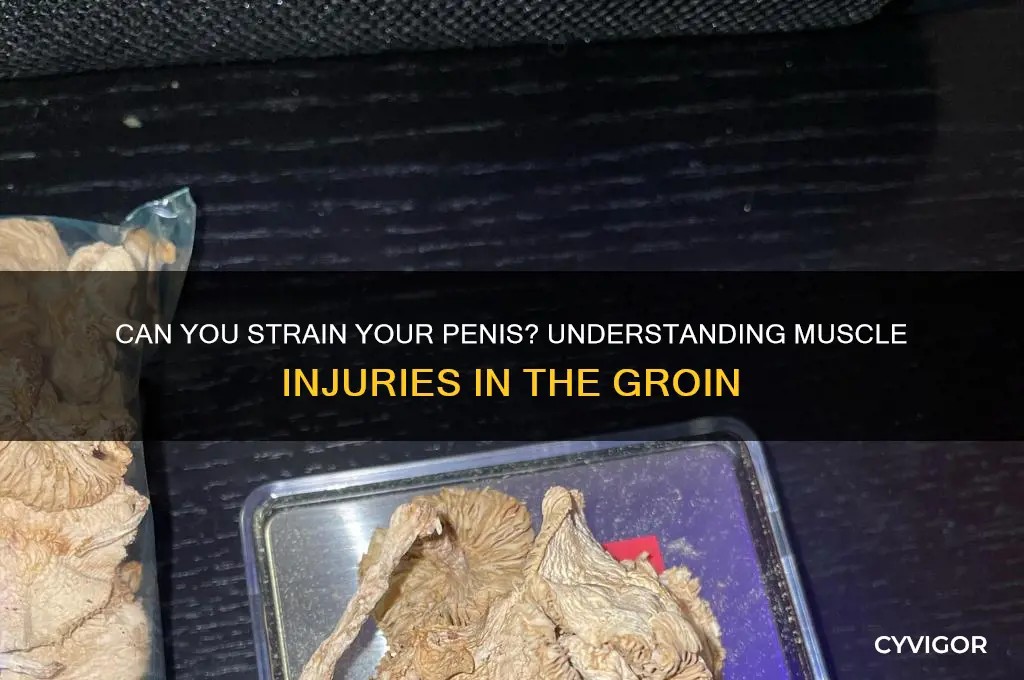 is it possible to pull a muscle in your penis