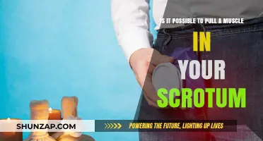 Can You Strain Your Scrotum? Understanding Testicular Muscle Injuries