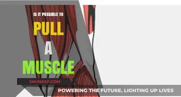Can You Really Pull a Muscle? Understanding Strains and Injuries