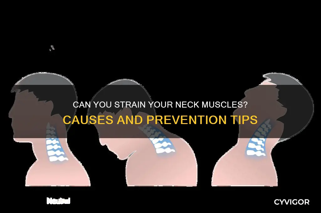 is it possible to pull a neck muscle
