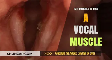 Can You Strain Vocal Muscles? Understanding Vocal Cord Injuries