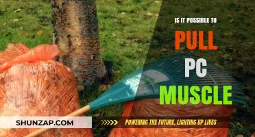 Can You Pull Your PC Muscle? Facts and Myths Explained