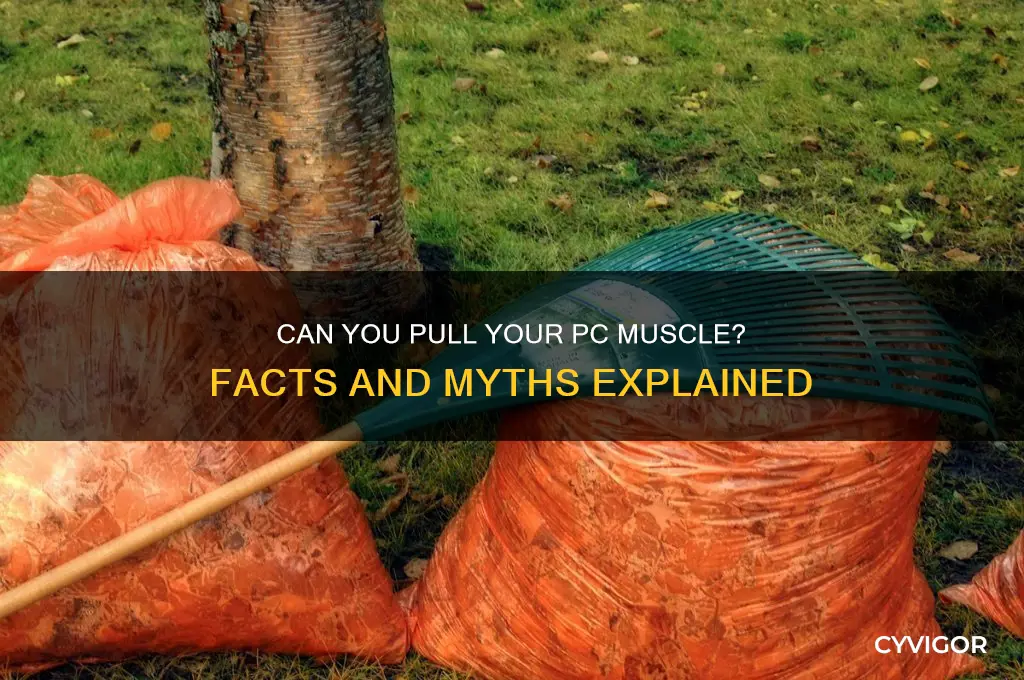 is it possible to pull pc muscle