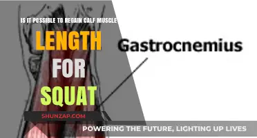 Can You Regain Calf Muscle Length for Squats? A Comprehensive Guide