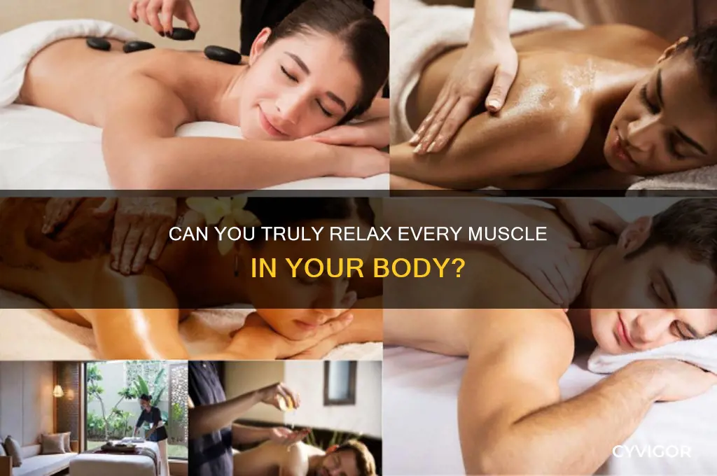 is it possible to relax every muscle in the body