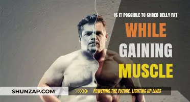 Shred Belly Fat, Build Muscle: Achieving Both Goals Simultaneously