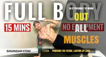 Can You Train Every Muscle? The Full-Body Workout Debate