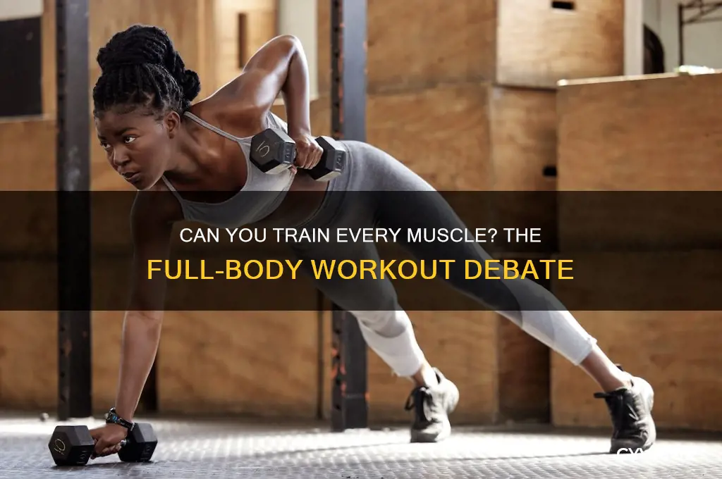 is it possible to work out all muscles