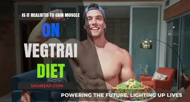 Can You Build Muscle on a Vegetarian Diet? Realistic Insights