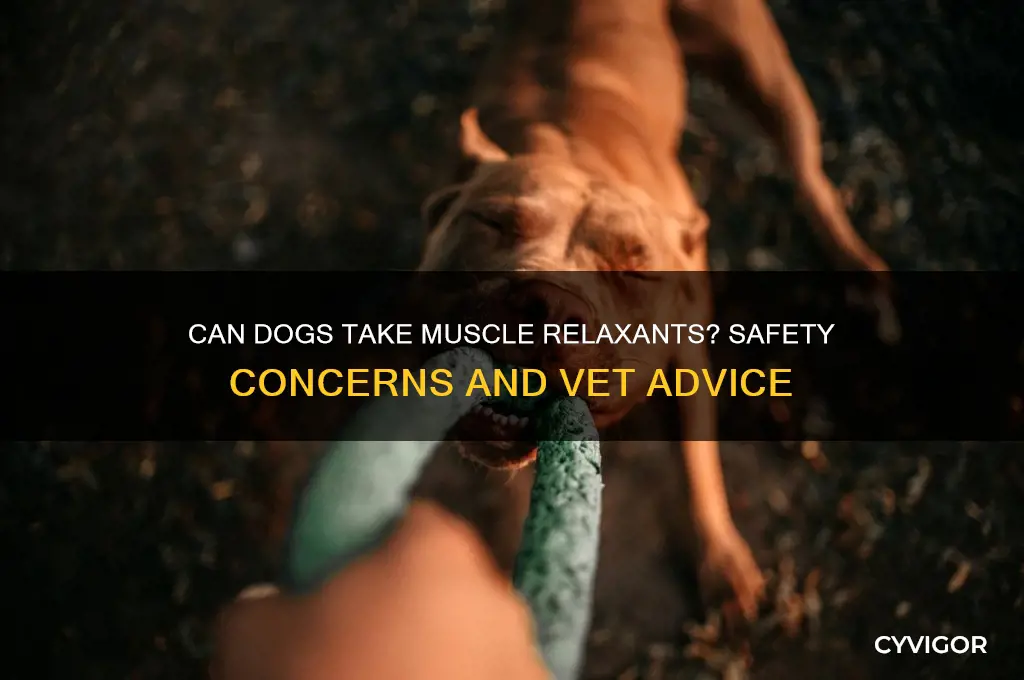is it safe to give a dog a muscle relaxant