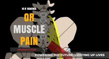 Sciatica vs. Muscle Pain: Identifying the Source of Your Discomfort