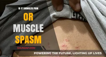 Shingles Pain or Muscle Spasm: Identifying the Source of Your Discomfort