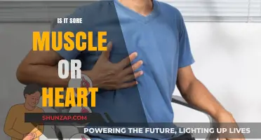 Sore Muscle or Heart Issue: How to Tell the Difference