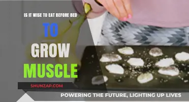 Should You Eat Before Bed for Muscle Growth? Expert Insights