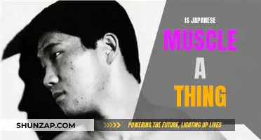Exploring Japanese Muscle Culture: Is It a Thing?