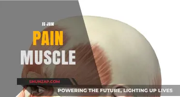 Is Jaw Pain Muscle-Related? Understanding Causes and Relief Options
