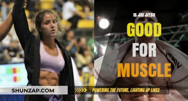 Jiu Jitsu and Muscle Growth: Building Strength on the Mats