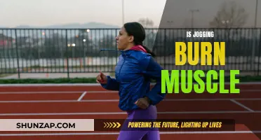 Jogging: Muscle Loss or Gain?