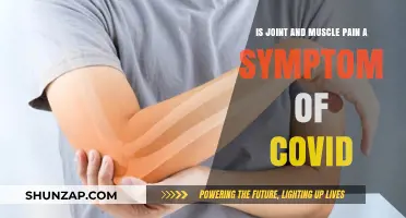 Joint and Muscle Pain: A Possible COVID-19 Symptom Explained