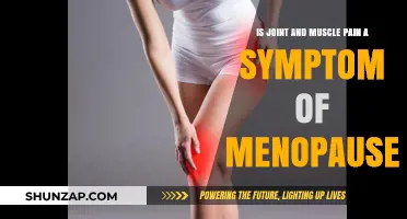 Menopause and Joint Pain: Understanding the Connection and Relief Options