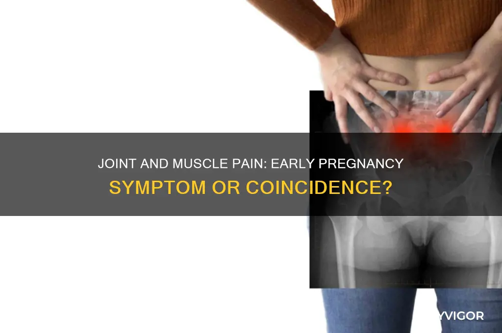 is joint pain and muscle pain an early pregnancy symptom