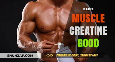 Is Kaged Muscle Creatine Effective for Muscle Growth and Recovery?