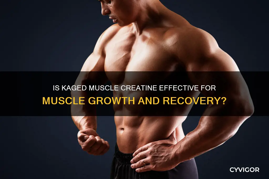 is kaged muscle creatine good