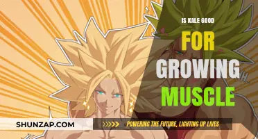 Kale's Muscle-Building Benefits: Fact or Fiction for Fitness Enthusiasts?