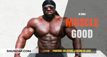 Is Kali Muscle Worth the Hype? A Comprehensive Review
