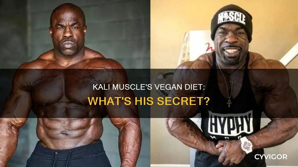 is kali muscle vegan