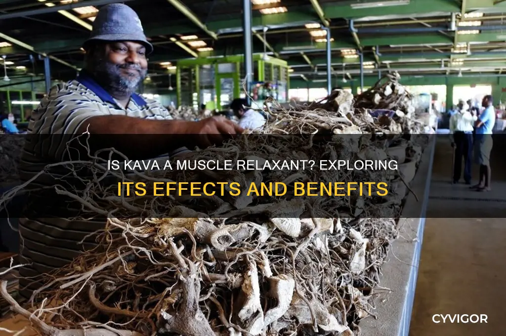 is kava a muscle relaxant