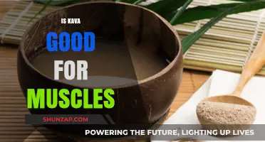 Kava's Muscle Benefits: Relaxation, Recovery, and Potential for Athletes